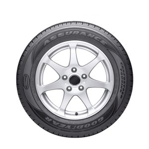 Perfect Titanium Tire Cover (18 inches)